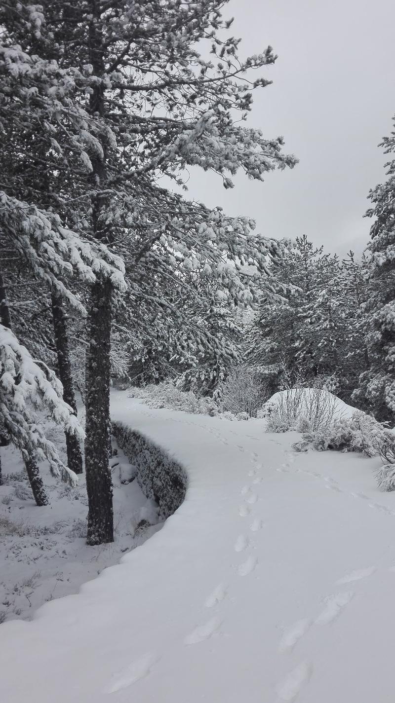 Pousada Da Serra Da Estrela Covilhã Exteriér fotografie